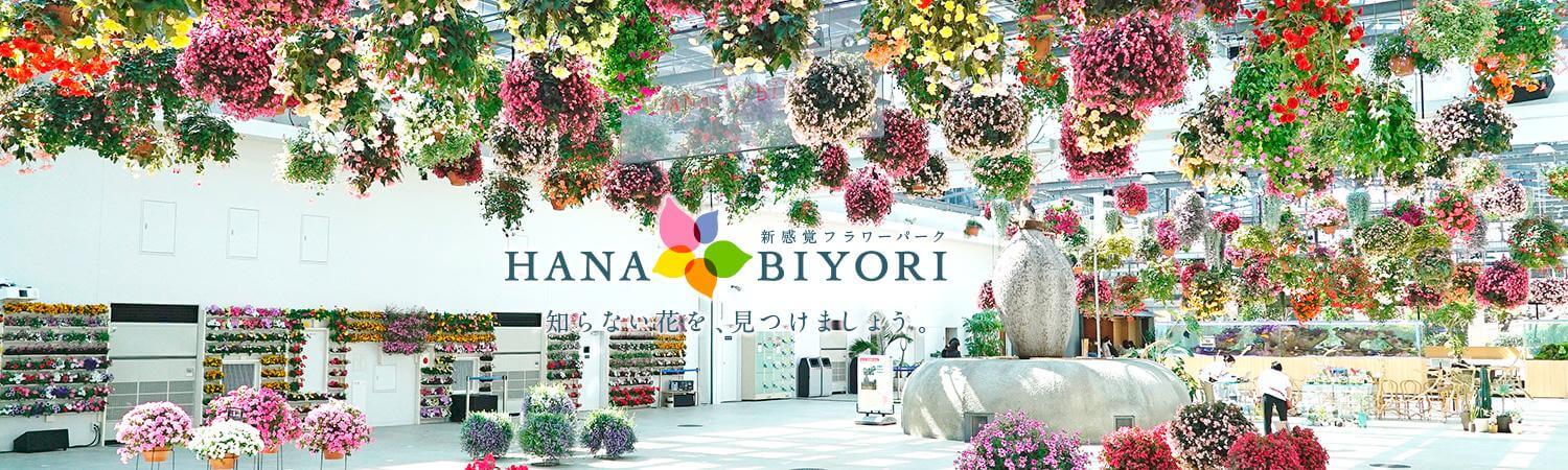 HANA・BIYORIとは | 新感覚フラワーパーク【HANA・BIYORI】