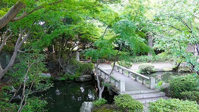 貴重な文化財が並ぶ日本庭園