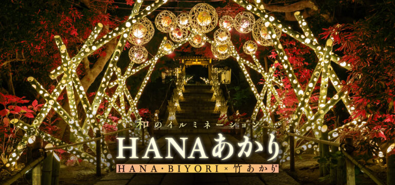 HANAあかり開催中！