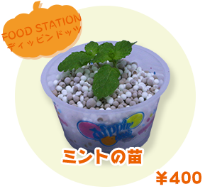 FOOD STATION ディッピンドッツ ミントの苗　¥400